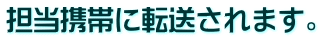 Sgтɓ]܂B